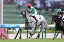 【新馬/阪神4R】キズナ産駒 ホワイトオーキッドがデビューV