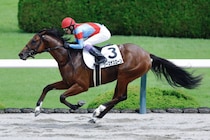 【阪神2R】武豊シーズザスローンが7馬身差圧勝