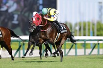 【道頓堀S】良血シュタールヴィントが鮮やかな差し切りV