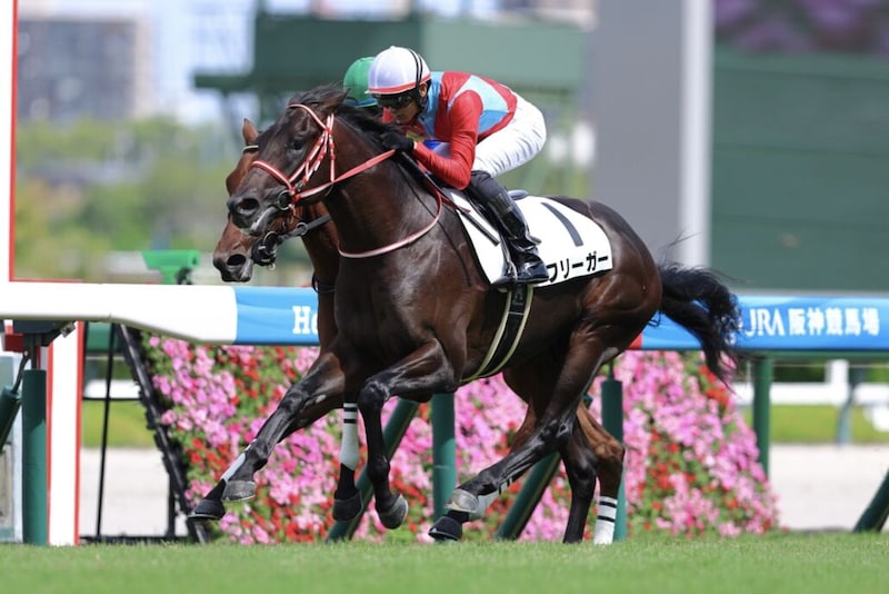 【新馬/阪神5R】コントレイル産駒 フリーガーがデビューV…3億円ホースのイエッサーは最下位