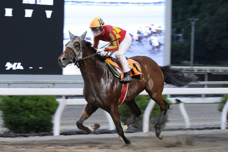 【高知競馬】山崎雅由騎手がメモリアルV…地方競馬500勝を達成