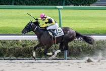 【新馬/中山4R】シャンハイボビー産駒 サノノアルペンがデビューV