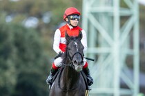 【茨城新聞杯】良血ショウナンサムデイが人気に応える