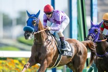 【サフラン賞】アルバンヌが2連勝…ドリームコアは3着