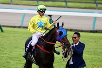 【スプリンターズS】リョン「初めての環境では厳しかった」香港馬ラッキースワイネスは11着に敗れる