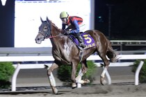 【高知・珊瑚冠賞】ユメノホノオ圧巻の4馬身差V！重賞10勝目