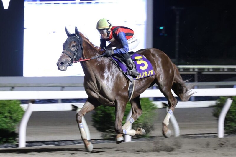 【高知・珊瑚冠賞】ユメノホノオ圧巻の4馬身差V！重賞10勝目