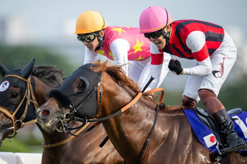 WIN5は2900万円超の払戻し…スプリンターズSはウインカーネリアンがV