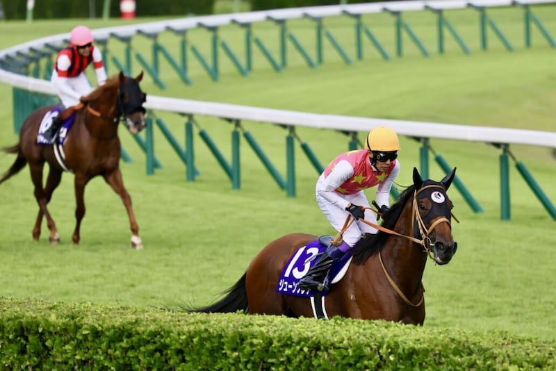 【スプリンターズS】武豊「狙ったレースは出来た」レース後ジョッキーコメント