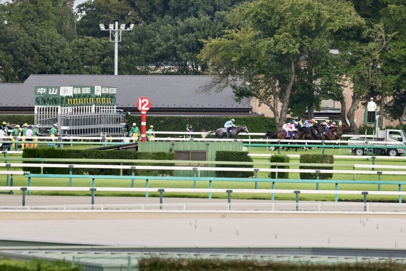 【スプリンターズS】ヤマニンアルリフラ発馬機トラブルで出遅れ15着…団野大成騎手に戒告処分