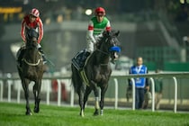 【京都大賞典登録馬】ドゥレッツァ、アドマイヤテラなど19頭