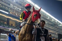 【毎日王冠登録馬】チェルヴィニアなど13頭