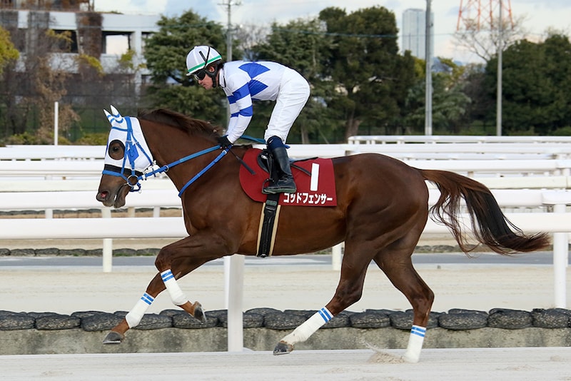【園田ジュニアカップ】展開無視の末脚！ゴッドフェンサーが力でねじ伏せる
