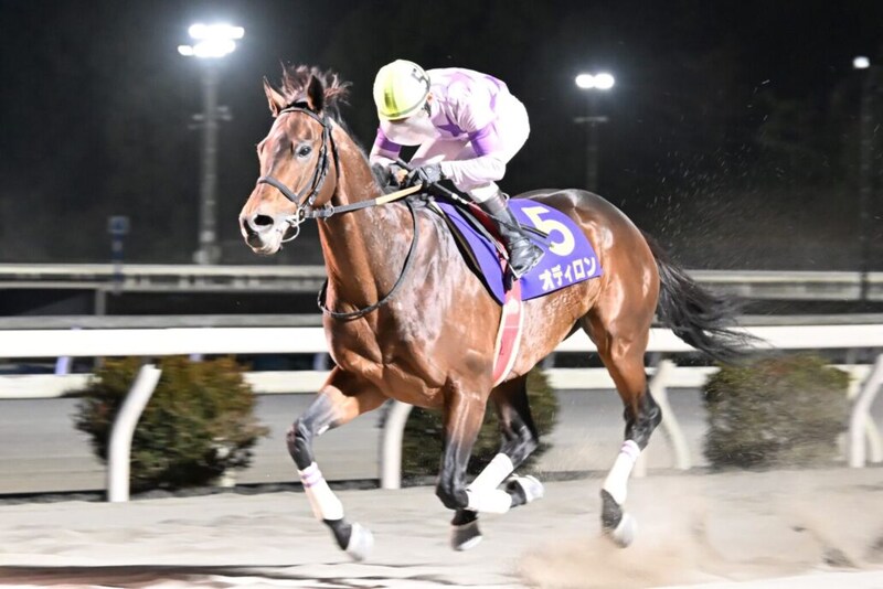 【高知県知事賞】オディロンが後続を寄せ付けず5馬身差V