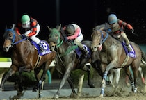 【岩手競馬】2025年累計発売額648億円超、前年比104.4％と堅調に推移