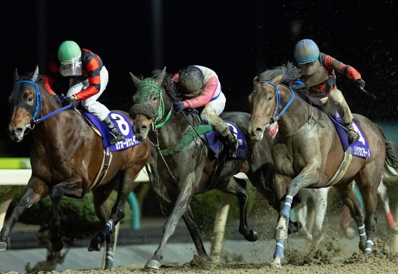 【岩手競馬】2025年累計発売額648億円超、前年比104.4％と堅調に推移