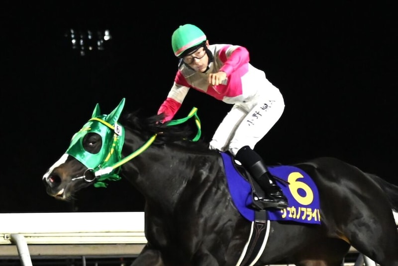 道営所属リュウノフライトが頂点へ…グランダム・ジャパン2025・2歳シーズン総合優勝