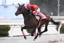 【高知・初夢特別】オタマジャクシが4連勝…永森「今日はトノサマガエルでした」