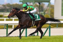 【京都金杯】ランスオブカオスは508kg…出走馬の調教後の馬体重