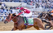 【サウジカップ登録馬】フォーエバーヤング、ディクテオンら日本馬が登録