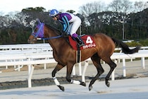 【園田・新春賞】ラッキードリーム復活V…8歳馬が意地の押し切り