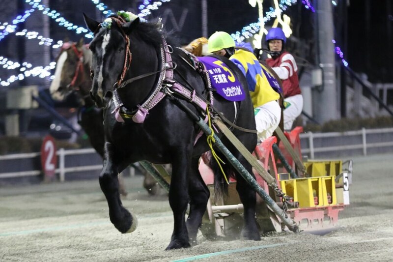 【ばんえい・天馬賞】5歳馬リュウセイウンカイ嬉しい初タイトル