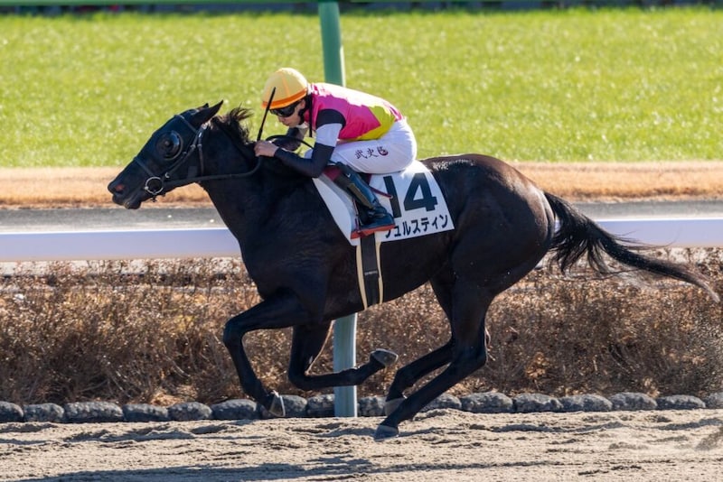 【中山1R】東の初笑いは横山武史騎乗 フュルスティン