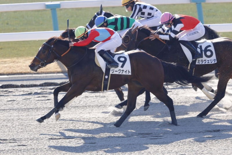 【京都1R】西の2026年オープニングレースはリーグナイトと田山旺佑がV