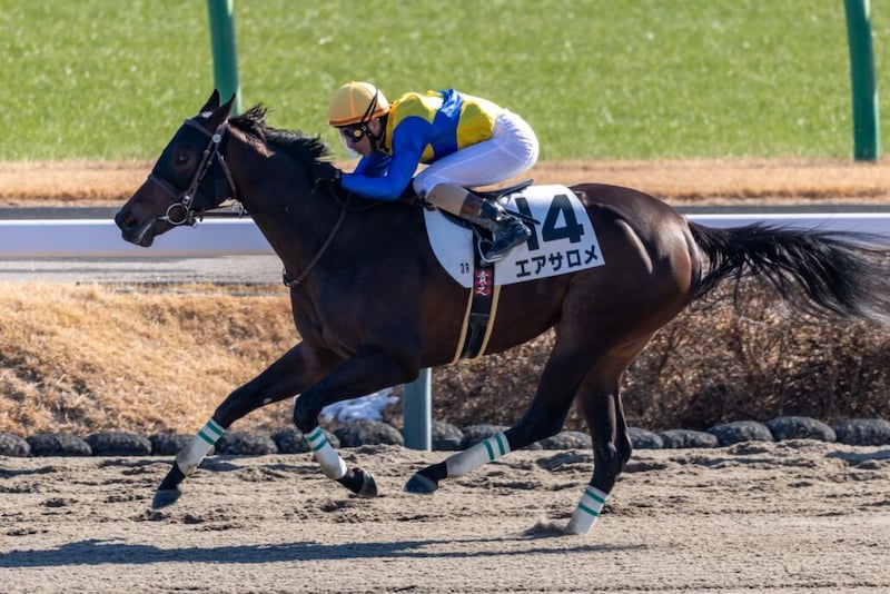 【新馬/中山3R】大井所属・矢野貴之がエアサロメで新馬V