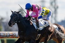 【新馬/中山6R】3連単200万円超えのお年玉！7番人気トップオブザラインVで大波乱