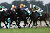 【京都金杯】3連単は109万円超の波乱…ブエナオンダが重賞初制覇