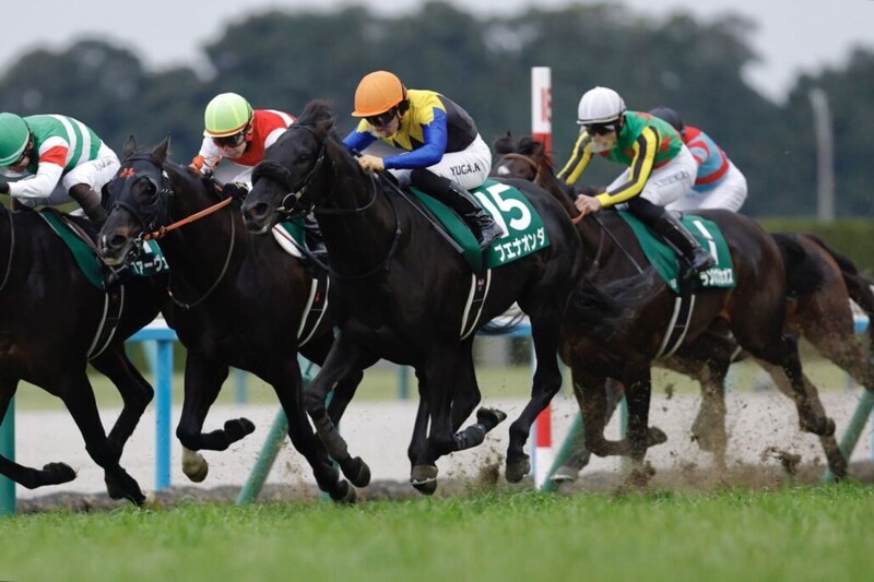 【京都金杯】3連単は109万円超の波乱…ブエナオンダが重賞初制覇