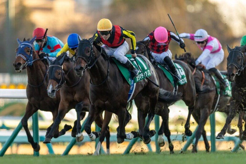 【中山金杯】伏兵カラマティアノスが大混戦を制する
