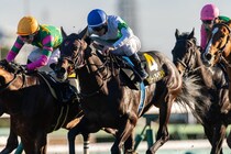 【ジュニアC】4着までハナ差の激戦！リゾートアイランドが人気に応える