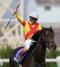 天皇賞・春覇者ジャスティンパレスが登録抹消…アロースタッドで種牡馬入り