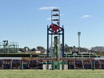 【新馬/中山5R】ハナ差の接戦！デイトナチャンプが人気に応える