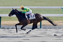 【京都7R】14番人気が激走！ルクスフレンジーが豪快な差し切りV