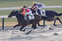 【京都4R】テイエムサンレーヴの直線一気炸裂…鮮やか2勝目