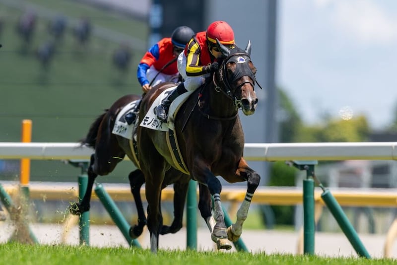 【シンザン記念登録馬】モノポリオなど18頭