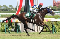 中京記念Vのセルバーグが登録抹消