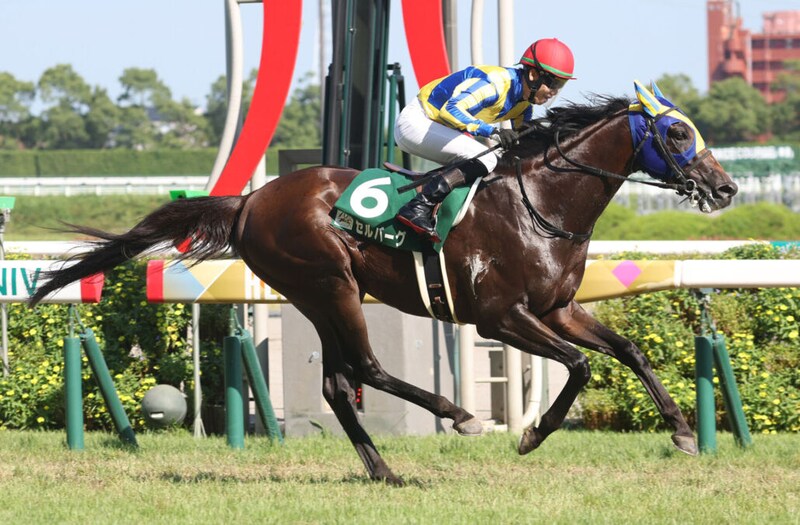 中京記念Vのセルバーグが登録抹消