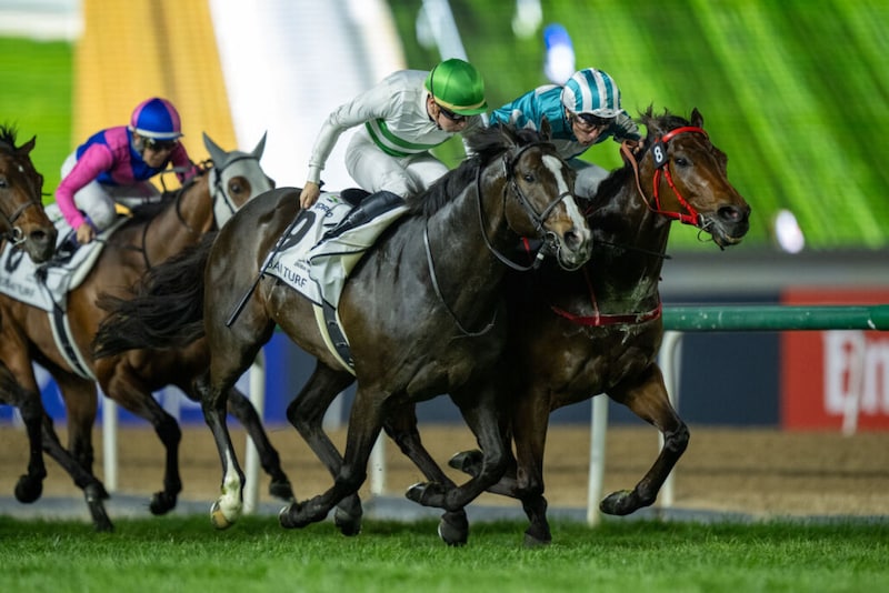 ソウルラッシュが引退、種牡馬入り