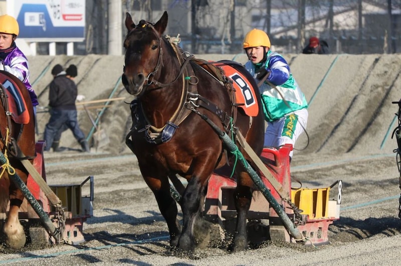 【ばんえい十勝】ルーキー臼杵龍美騎手初勝利