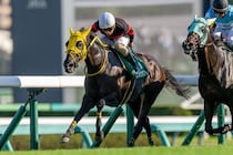 ホウオウラスカーズが登録抹消、繁殖入り