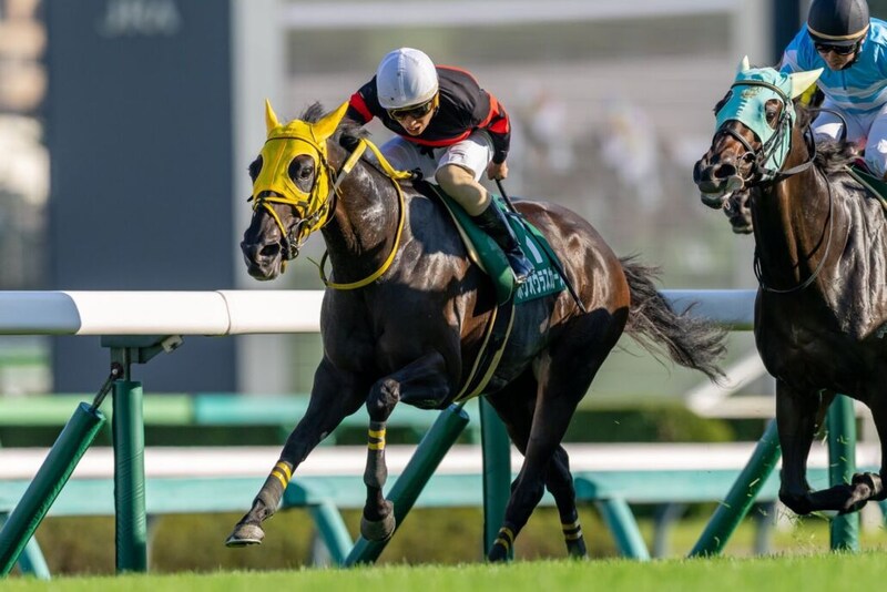 ホウオウラスカーズが登録抹消、繁殖入り