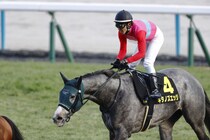 【すばるS】鮮やかな差し切り！キタノズエッジがオープン初勝利