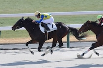 【京都5R】1番人気ライトオブヌカタが2勝目