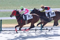 【新馬/京都2R】バンドワゴン産駒 ハッピーラブソングがデビューV