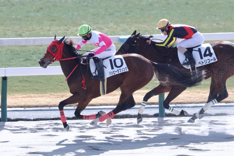 【新馬/京都2R】バンドワゴン産駒 ハッピーラブソングがデビューV