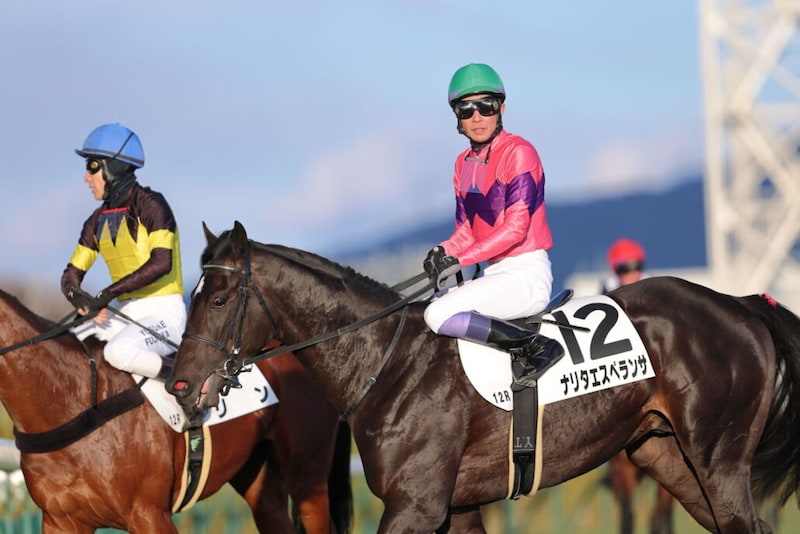 【京都12R】武豊ナリタエスペランサが人気に応える